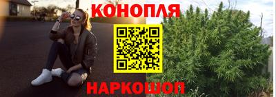 гидропоника Аша