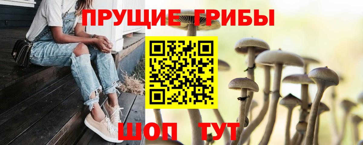 где можно купить   Вход с VPN  Гулькевичи  Галлюциногенные грибы Cubensis 